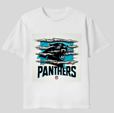 Carolina Panthers Scratch T-Shirt